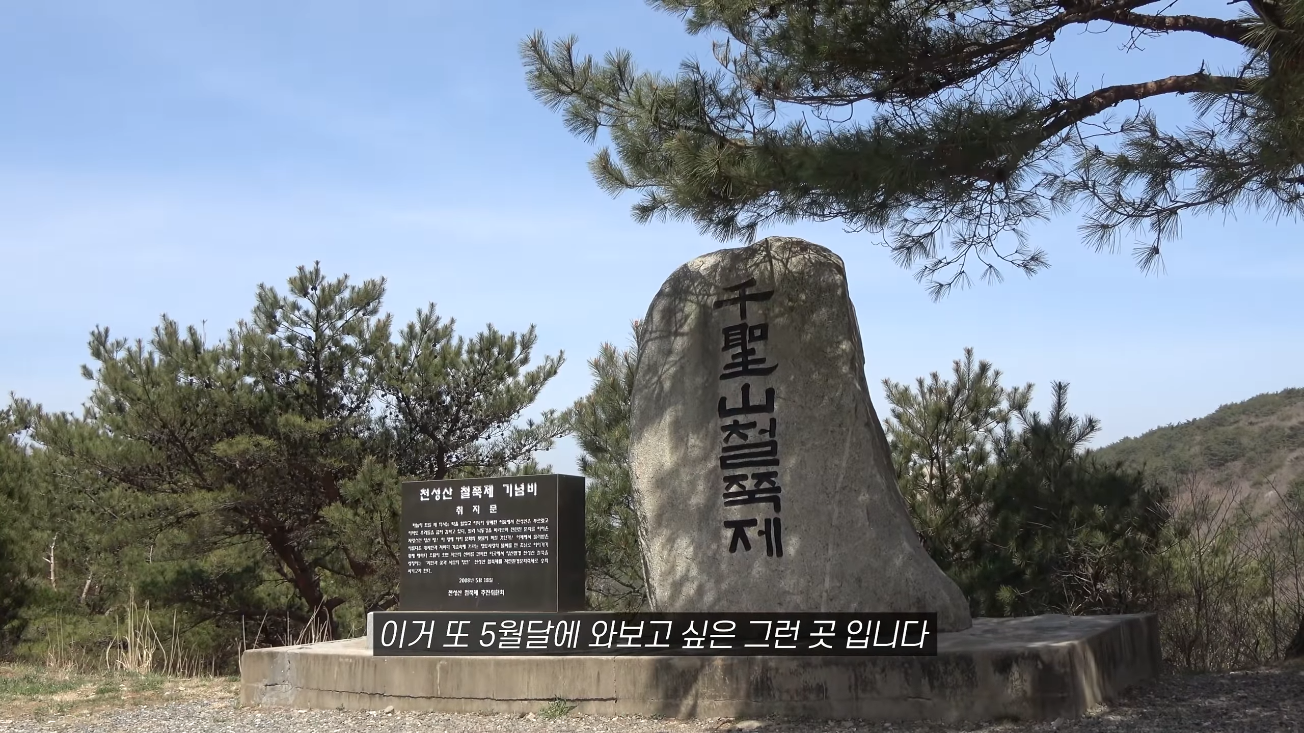 천성산 철쭉제 5월