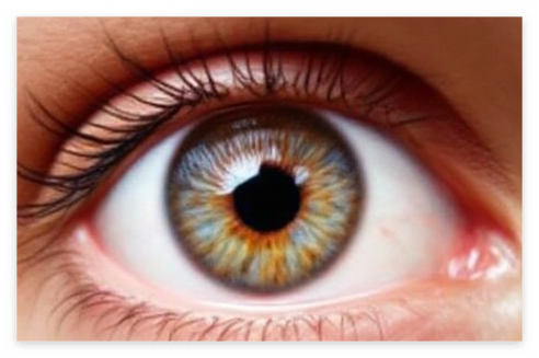 황반변성에 좋은 음식