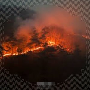 경북 산불 재난지원금 신청방법