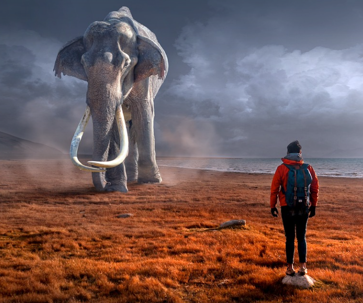 불교와 과학의 만남