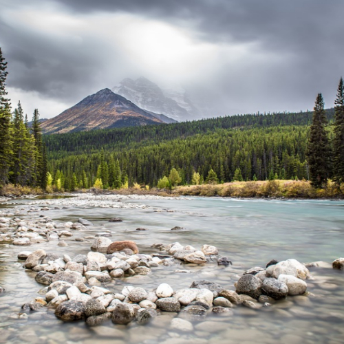F로 시작하는 동사