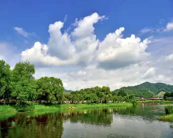 공주 수국축제_2