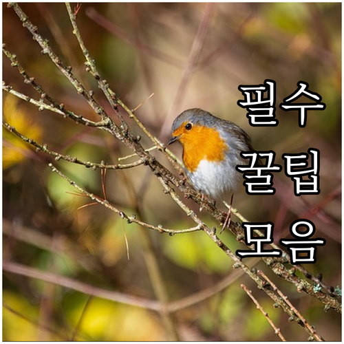 당진 발전소 2025 견학 신청 무료..