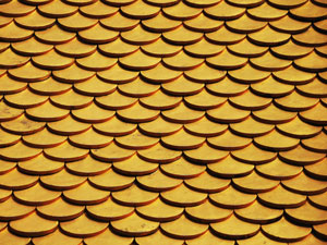 오늘의 금시세 상승 이유