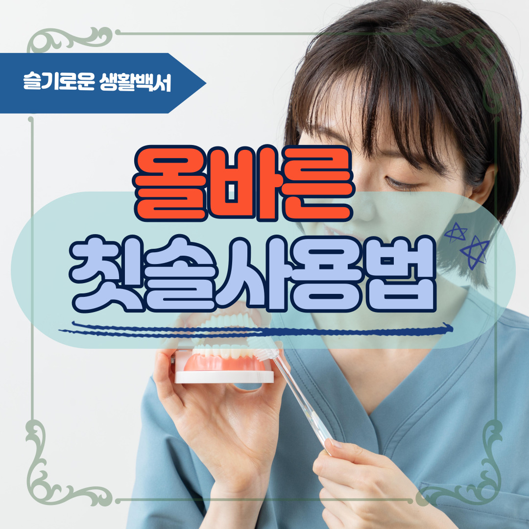 칫솔 사용법