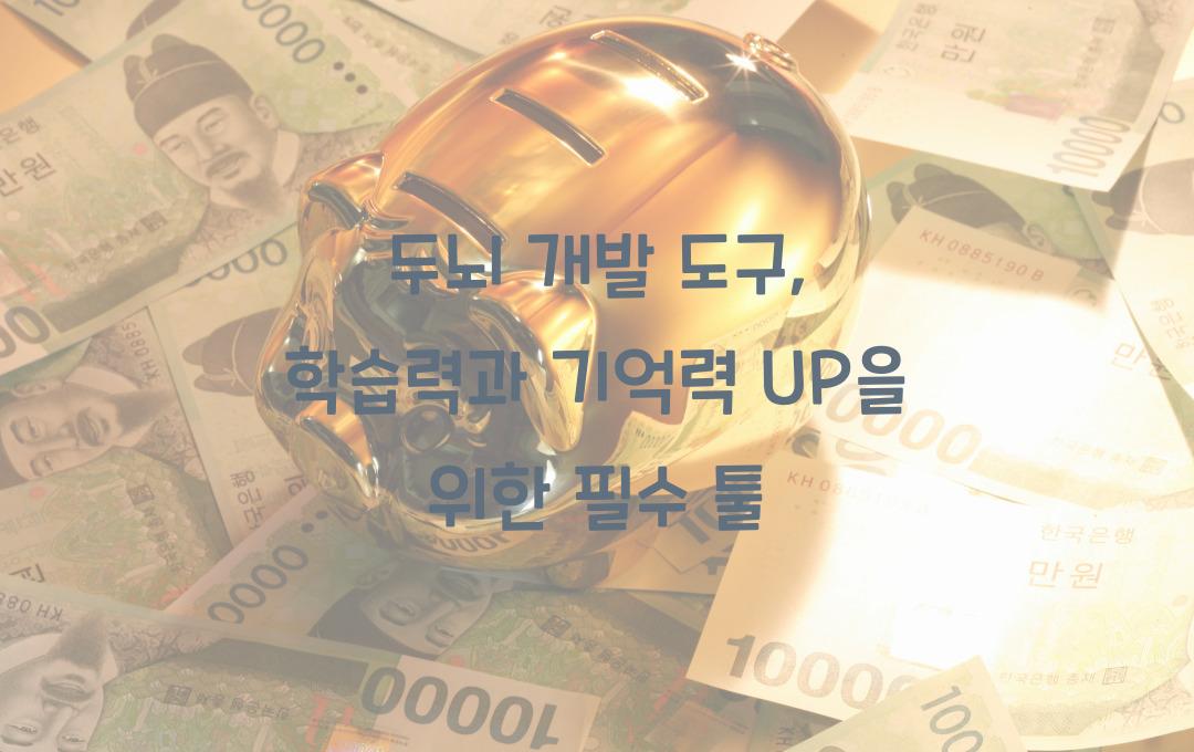 두뇌 개발 도구: 학습과 기억력 향상을 돕는 툴