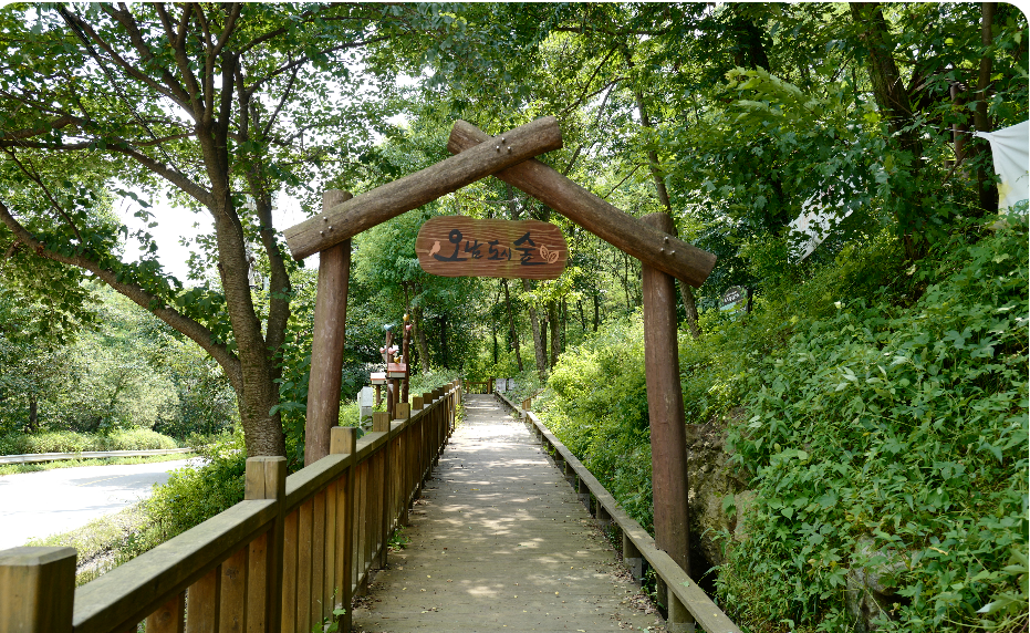 제20회 광릉숲축제 2025 완전 가이드 - 1년에 단 한 번 열리는 신비의 유네스코 숲