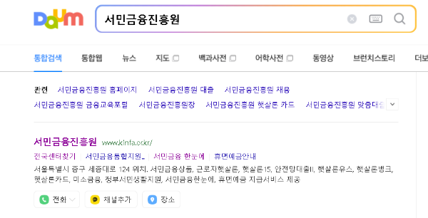 다음-포털 검색화면