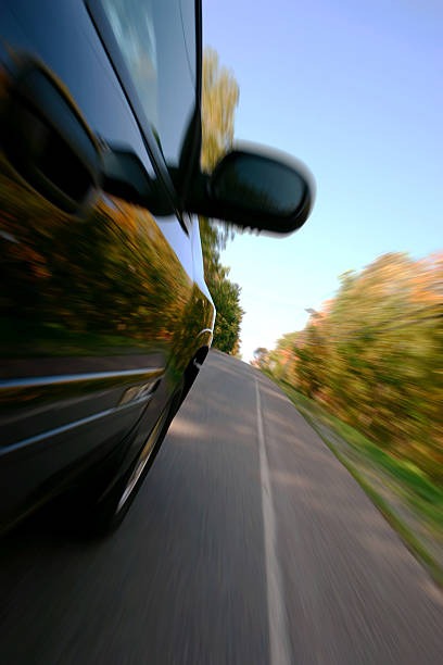 광복절-특사-명단-확인