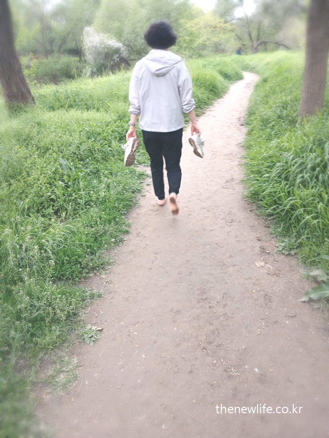 A woman walking barefoot while holding her shoes at Yeouido Saetgang Ecological Park-여의도 샛강생태공원에서 신발을 들고 맨발 걷기 중인 여성의 모습