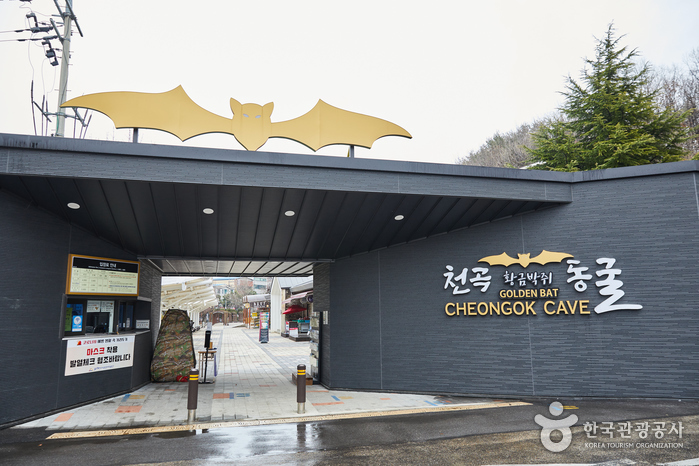 동해 가볼만한곳 - 천곡황금박쥐동굴