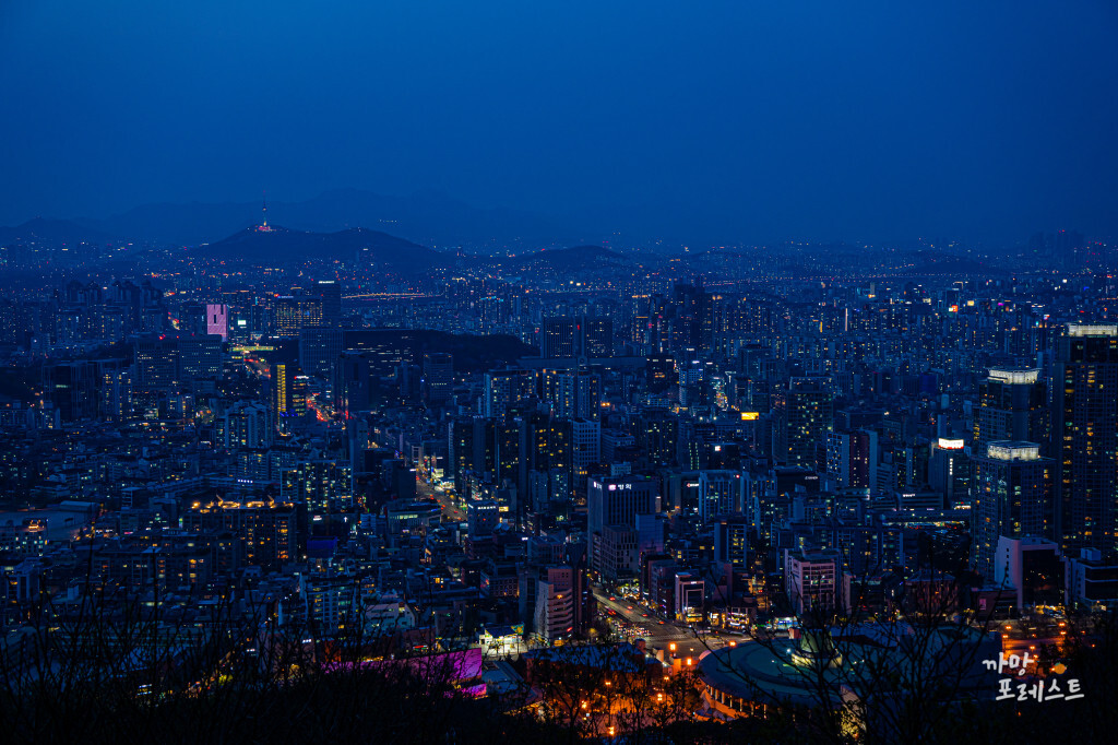 우면산 야경 기록