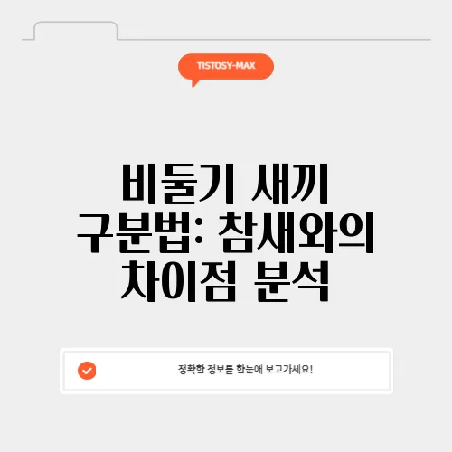 비둘기 새끼 구분법: 참새와의 차이점 분석