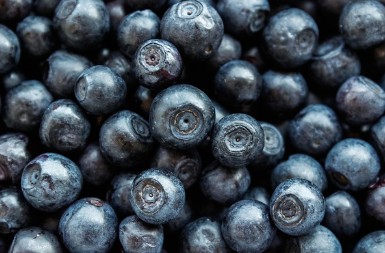 지방간에 좋은 음식2