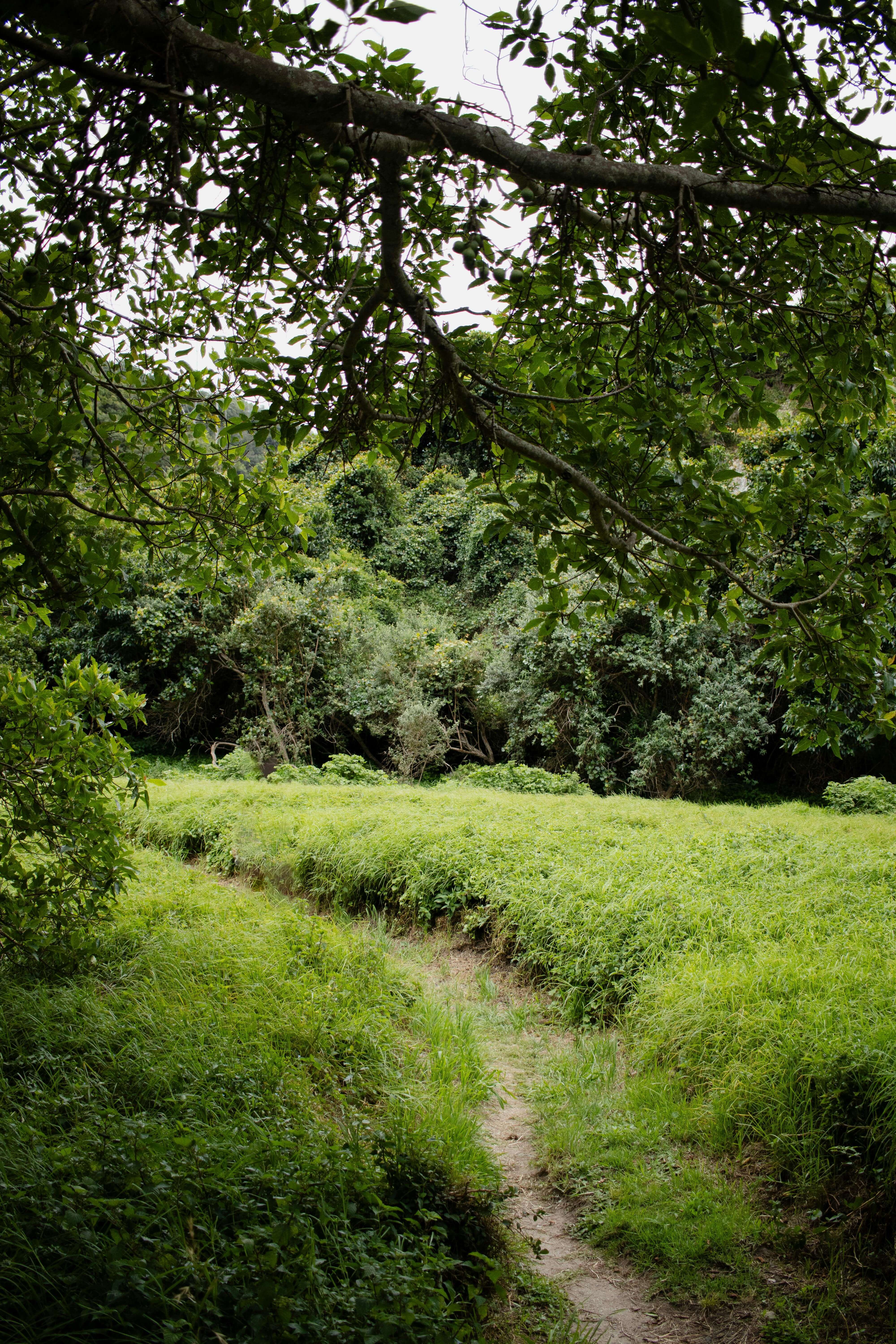 2025 설 기차표 예매 일정과 예매 방법 총정리