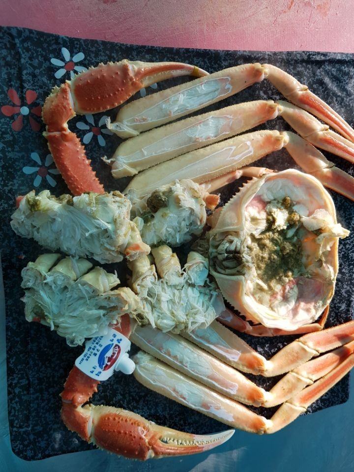 울진 후포항 맛집 바다마실