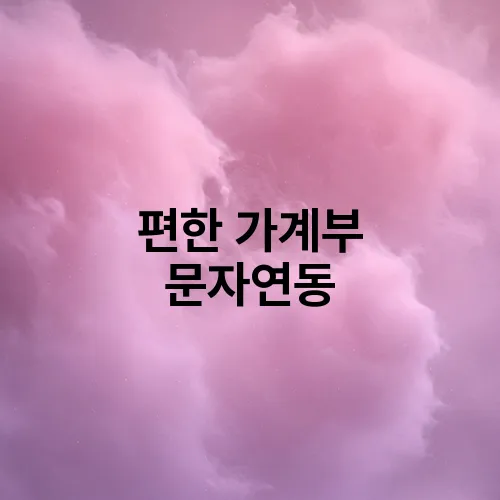 편한 가계부 문자연동