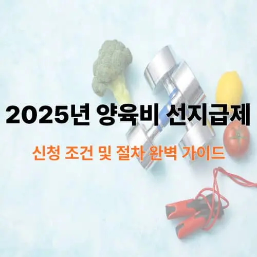 2025년 양육비 선지급제
