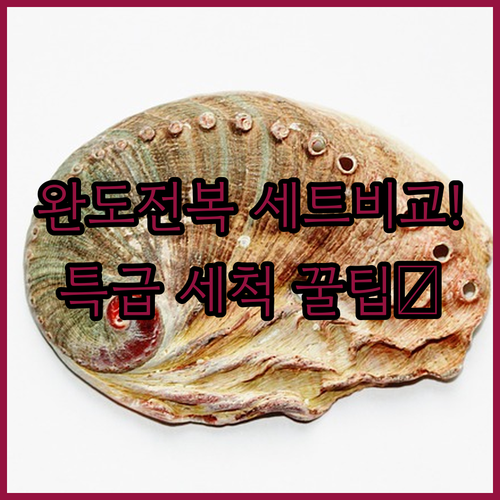 부모님 선물로 좋은 완도 전복 세트 ..