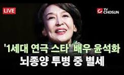 윤석화