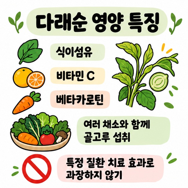식이섬유 비타민 C 베타카로틴을 다래순의 주요 영양 특징으로 보여주고 치료 효과 과장은 피하는 카드