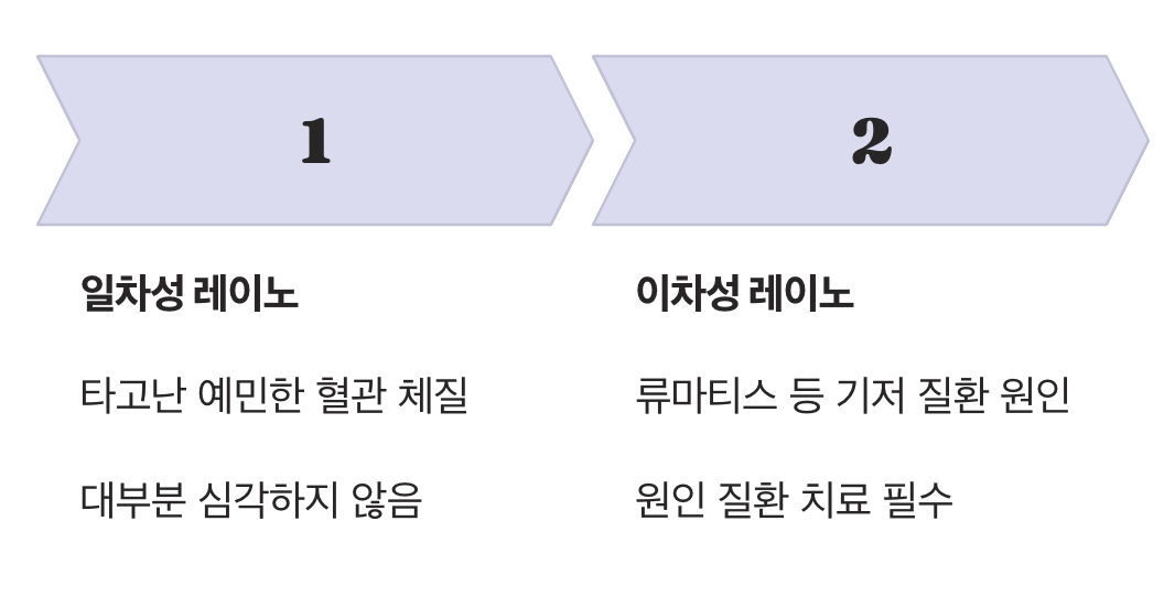 놀라기 쉬운 예민한 성격의 혈관