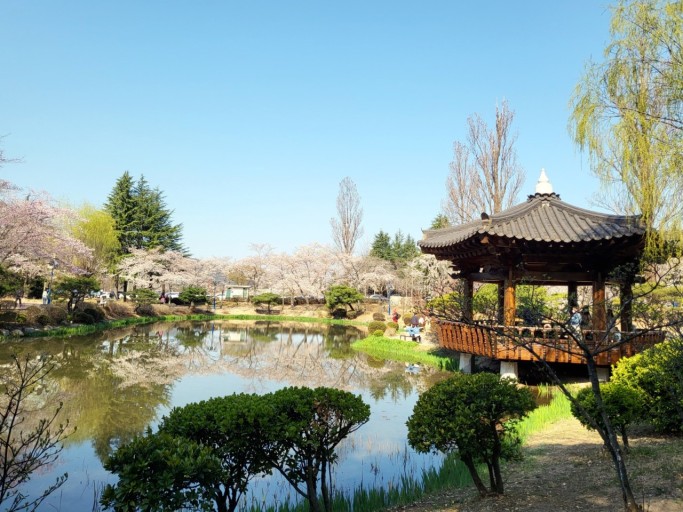 2025년 봄나들이 추천! 전국 가볼 만한 명소 Best 8