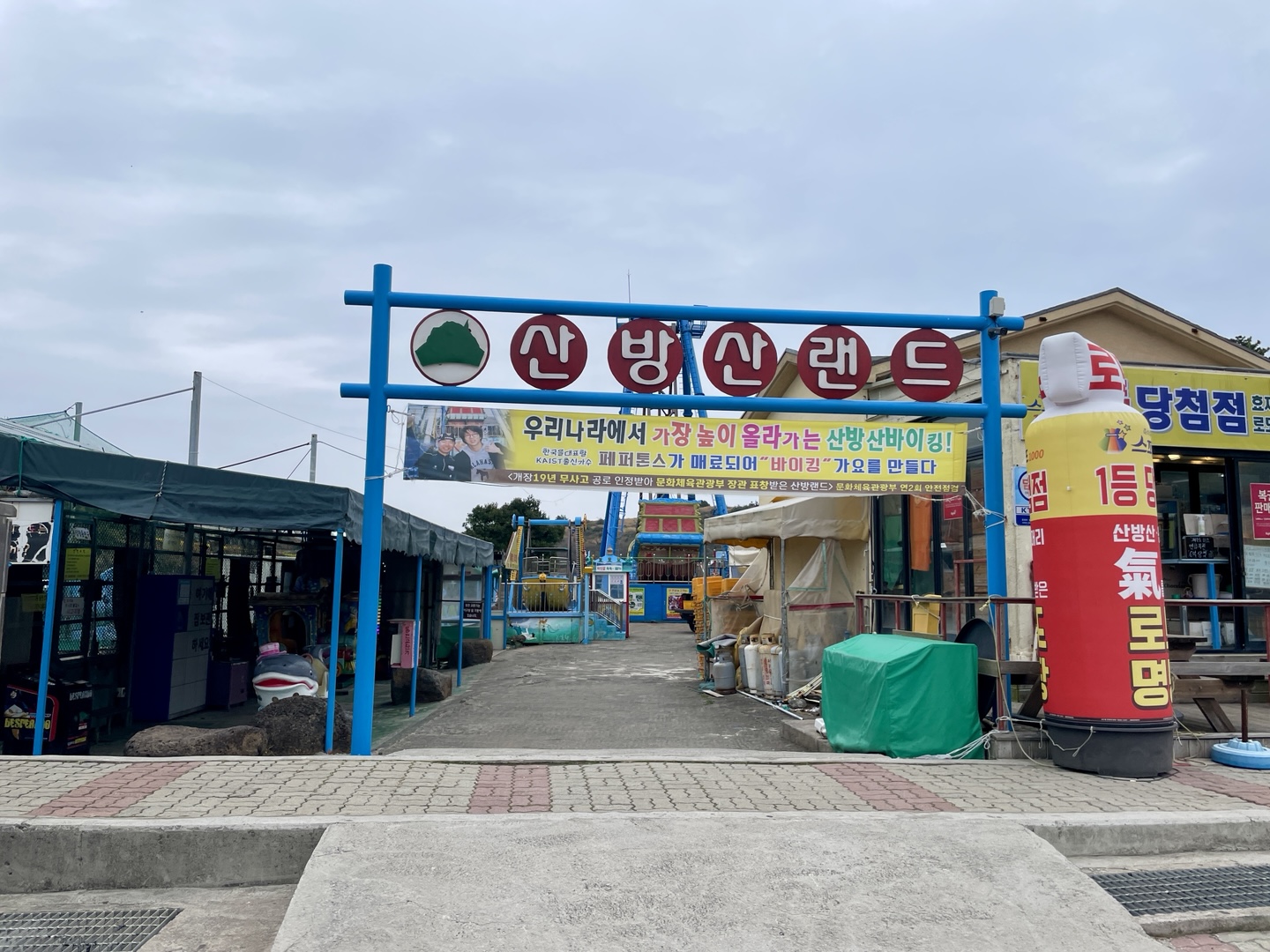 제주 유채꽃 필수 코스