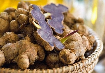 파비플로라 효능 부작용