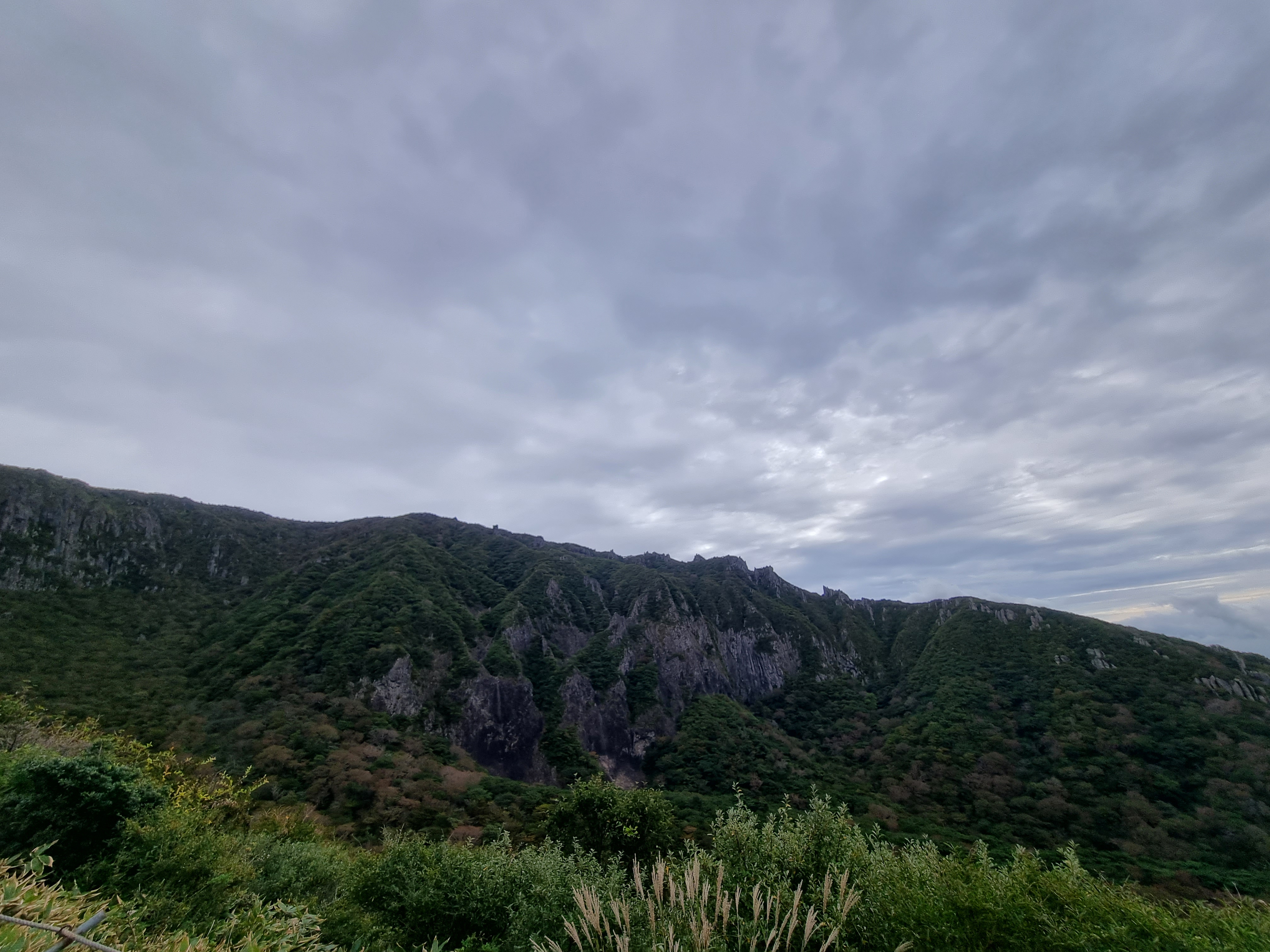 윗세오름 영실코스