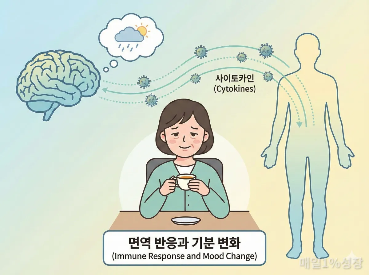 신체 염증 반응이 뇌와 기분에 미치는 영향을 설명하는 인포그래픽