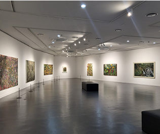 2024 함평 나비축제