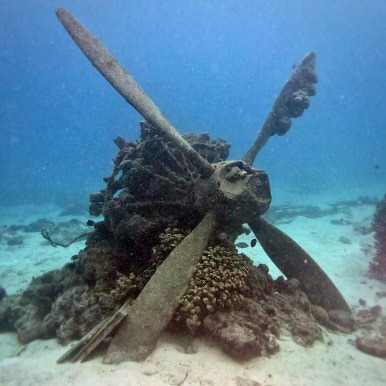 B-29