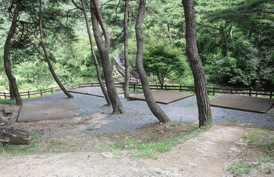 박달재자연휴양림