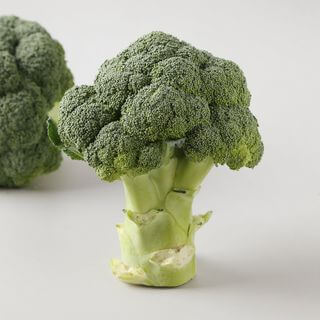 홈플러스 홈플런 전단 행사 쿠폰 혜택 총정리