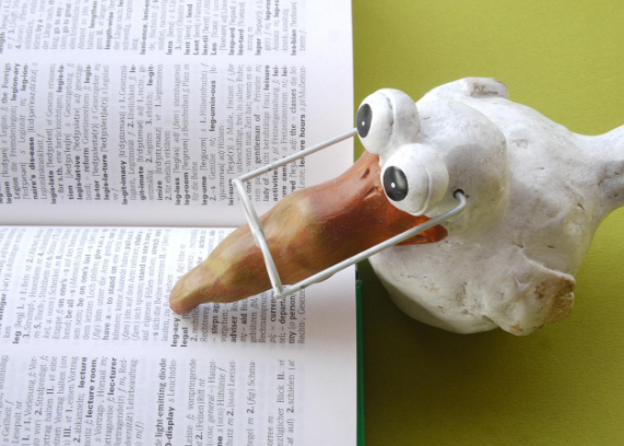 외국어 공부가 치매를 5년 늦춘다? 뇌를 늙지 않게 만드는 '최강의 브레인 트레이닝'