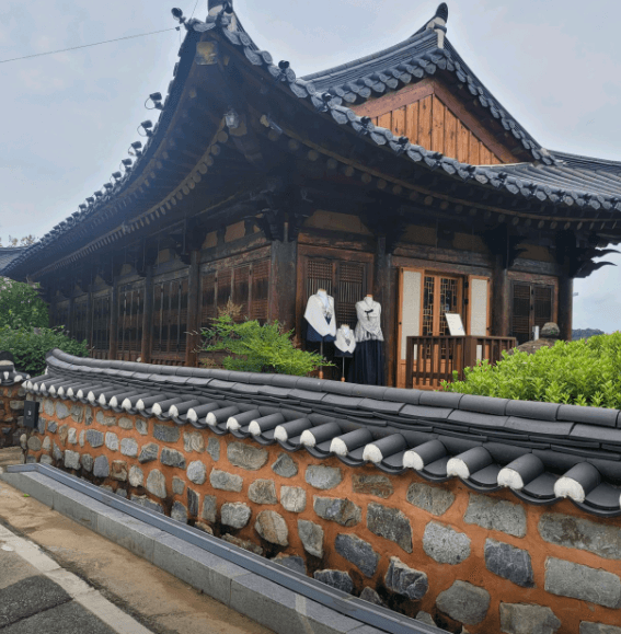 [6시 내고향] 충주 악어봉 탐방로&amp;#44; 장자늪 카누체험장 예약&amp;#44; 탄금호 의상대여 중앙탑의상실