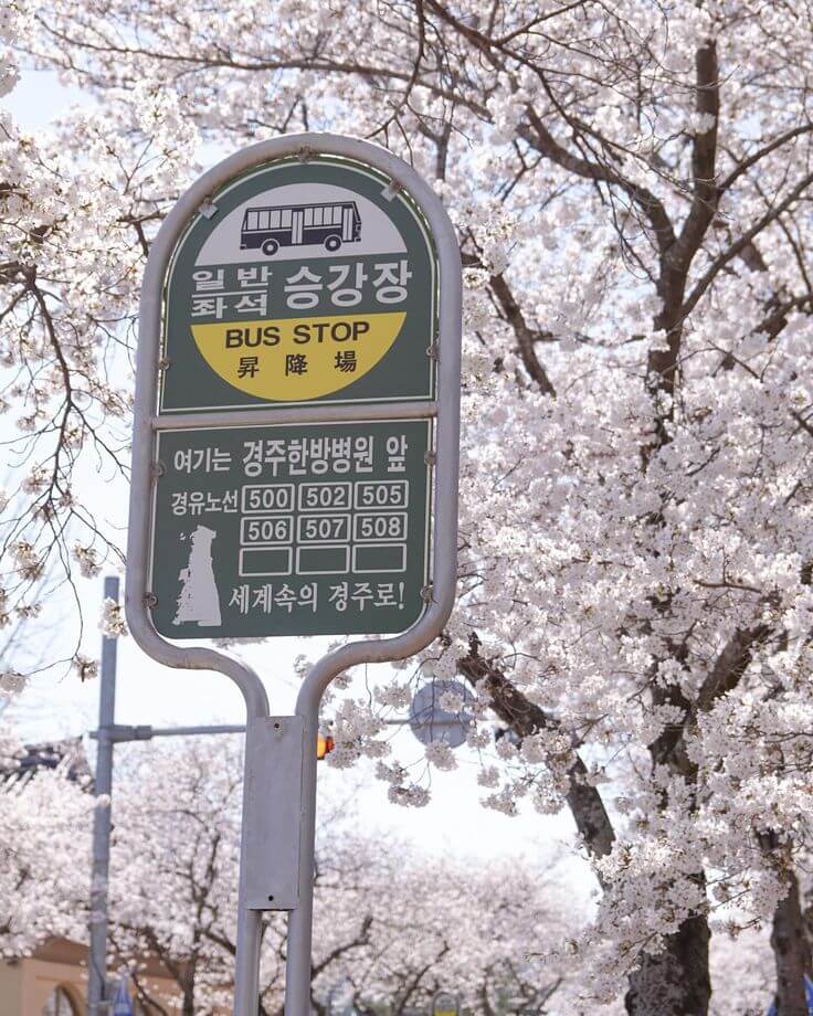 경주 숙소 추천