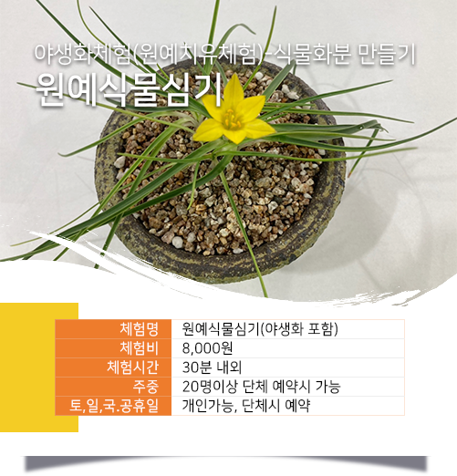 원예식물심기
