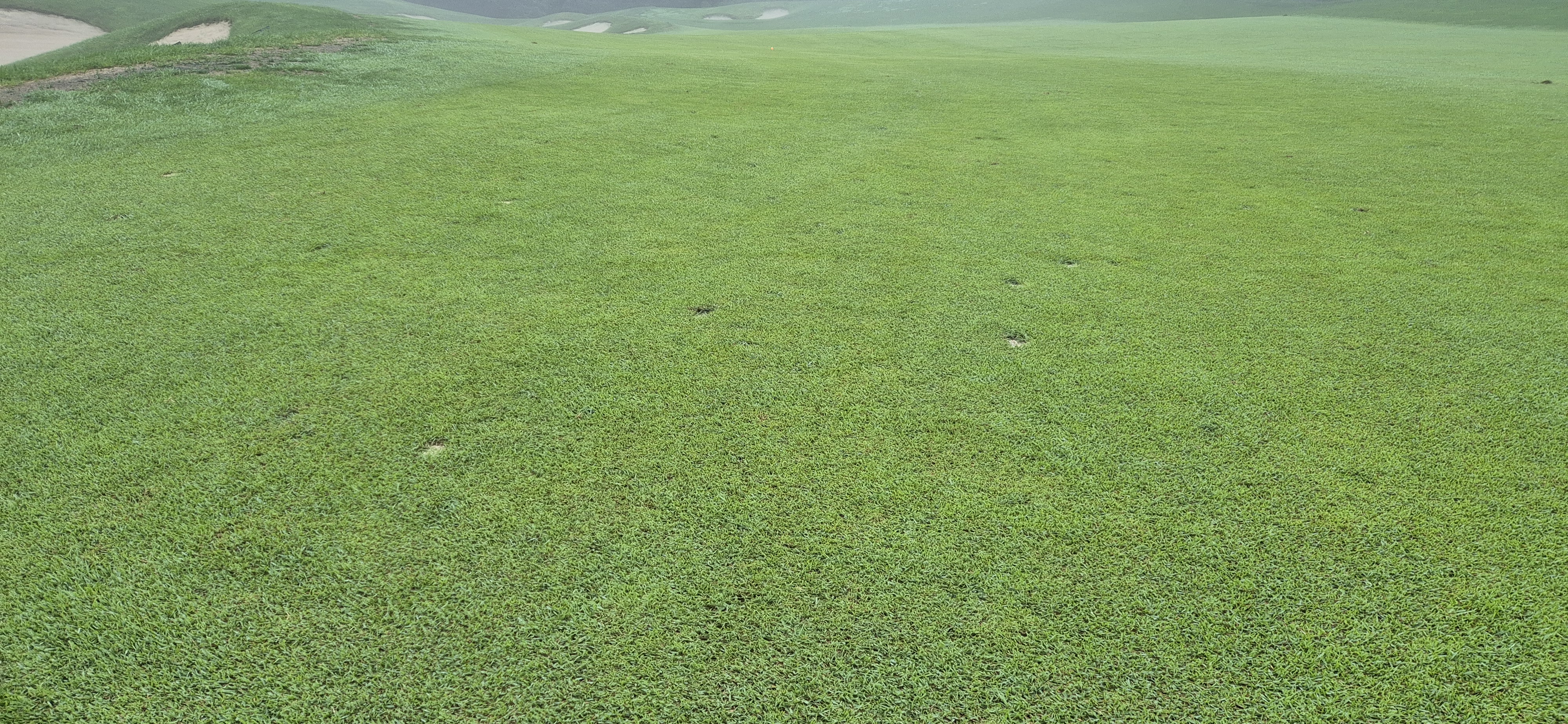 더플레이어스cc