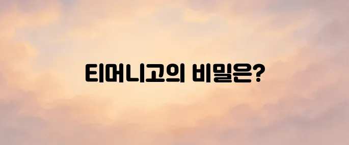 티머니고 홈페이지 (https://maas.tmoney.co.kr)