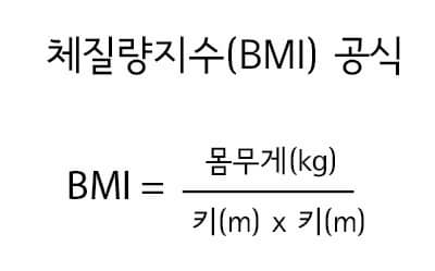 비만도 계산법