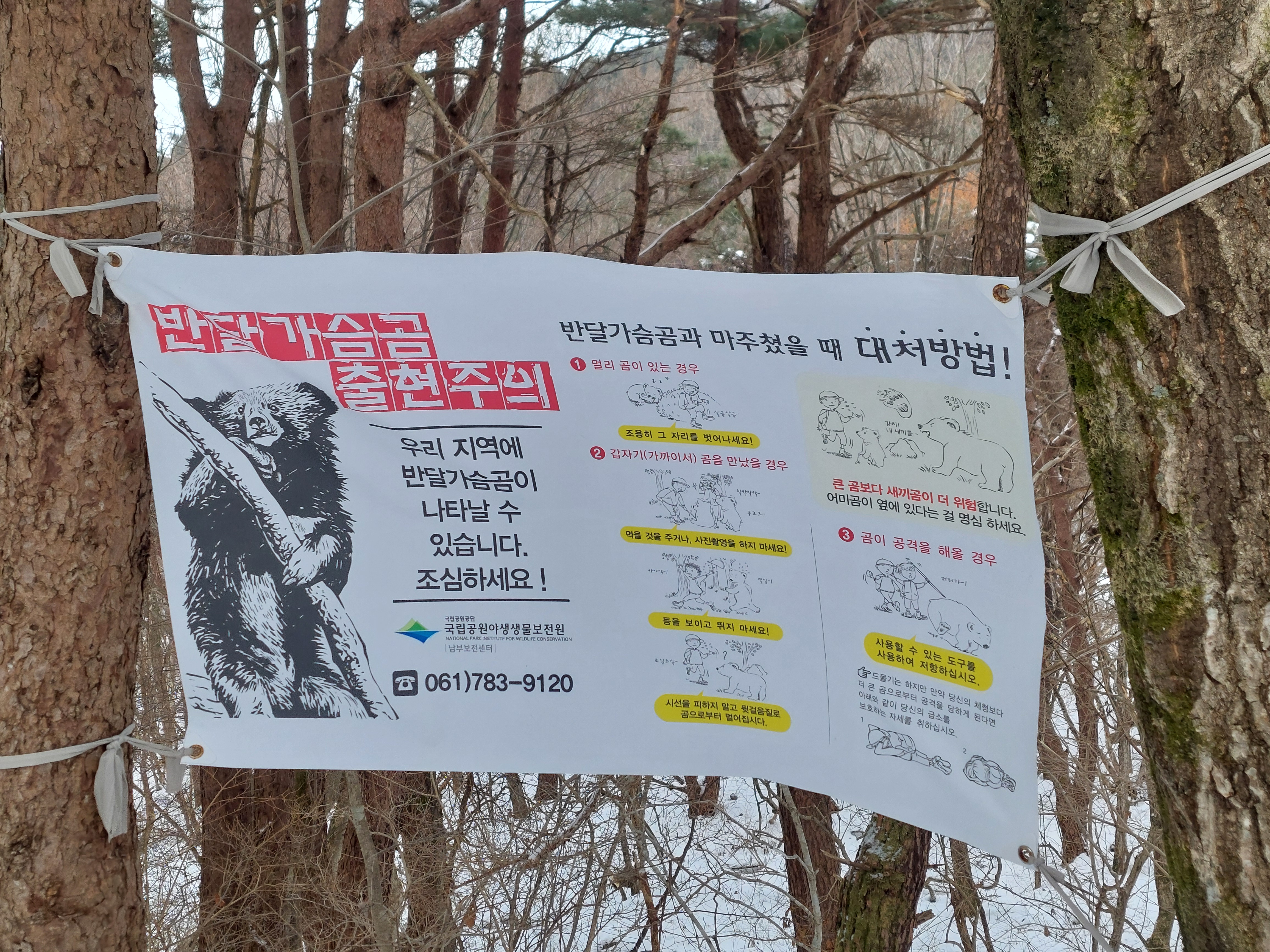 바래봉
