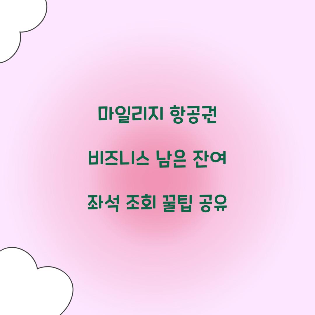 마일리지 항공권 비즈니스 남은 잔여 좌석 