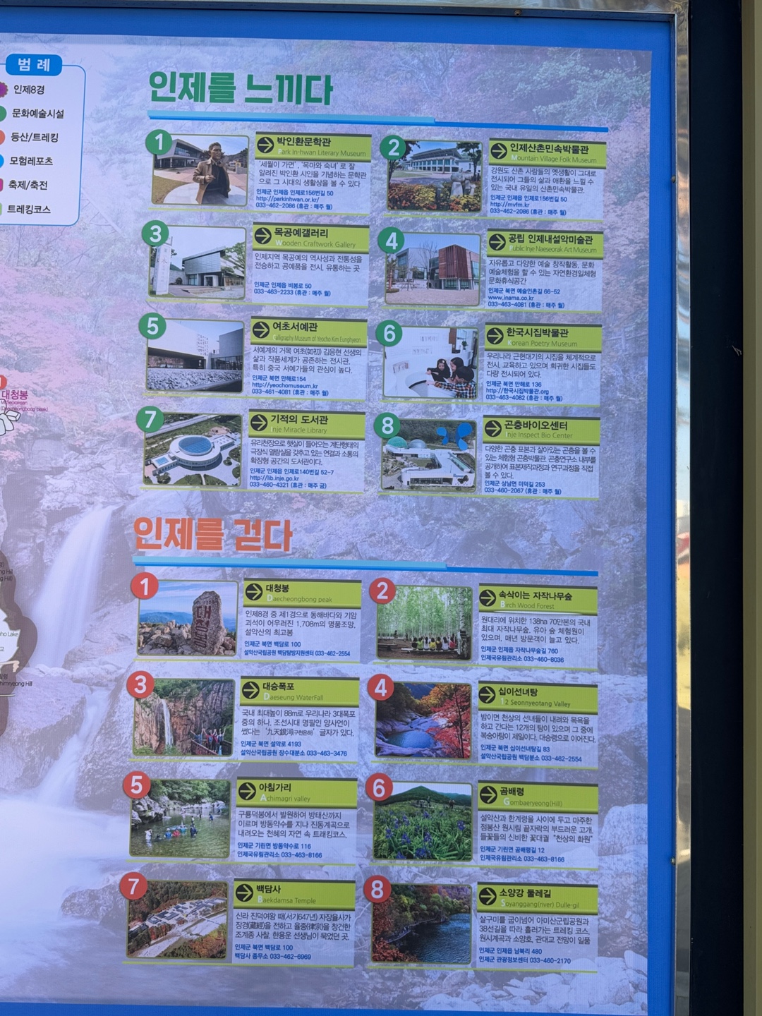 인제 자작나무숲