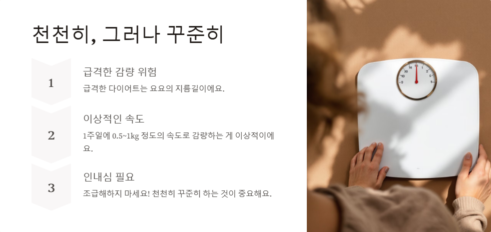 다이어트 후 요요현상 없이 체중 유지하는 팁