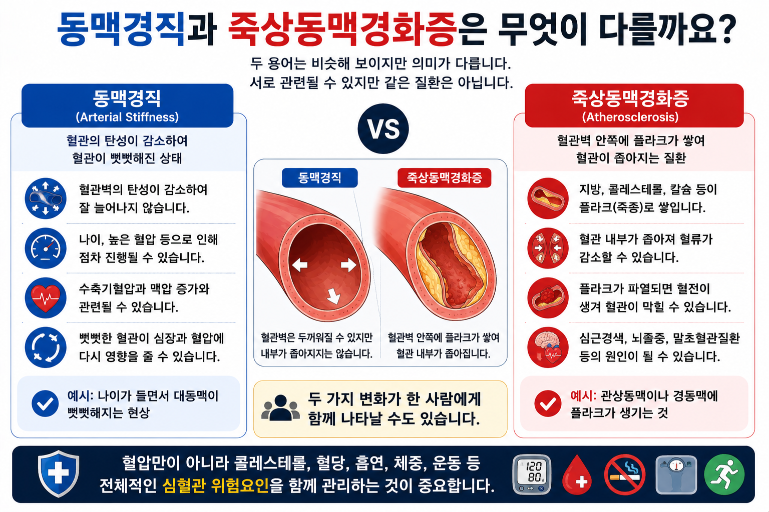 동맥의 탄성 감소와 플라크 축적의 차이를 비교하는 설명 그림