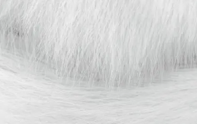 백반증 초기증상 16