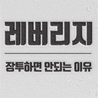 레버리지 장기투자 전략 및 종류 소개