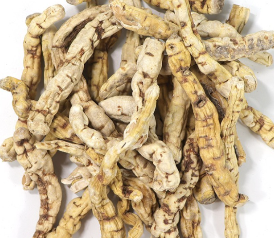 하수오 효능부터 부작용, 성분·재배·민간요법까지